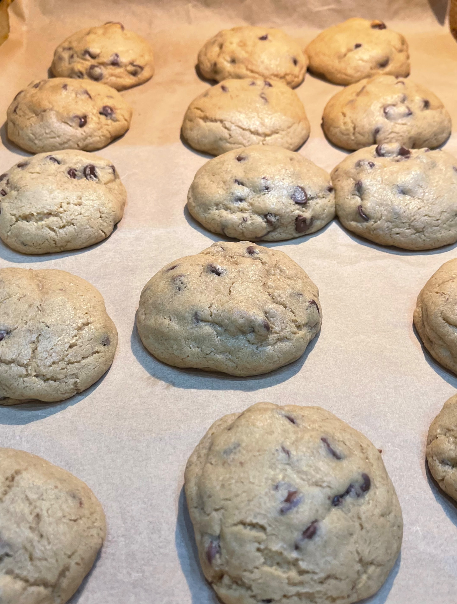 Fresh-baked classic chocolate chip cookies on a tray